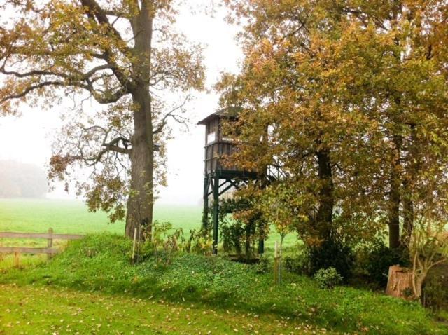Landhotel Waldseiter Hof Bad Bentheim Eksteriør billede